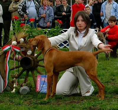 handling (57).jpg